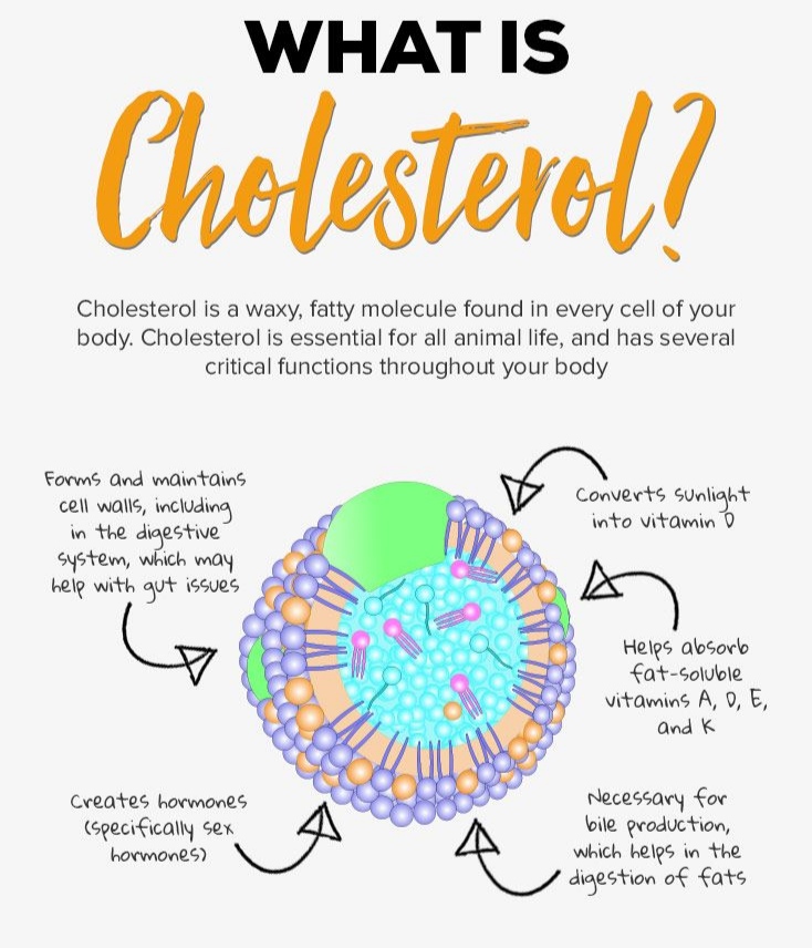 Lipids and their function : All About Cholesterol, tips to manage Bad Cholesterol and Fatty Liver