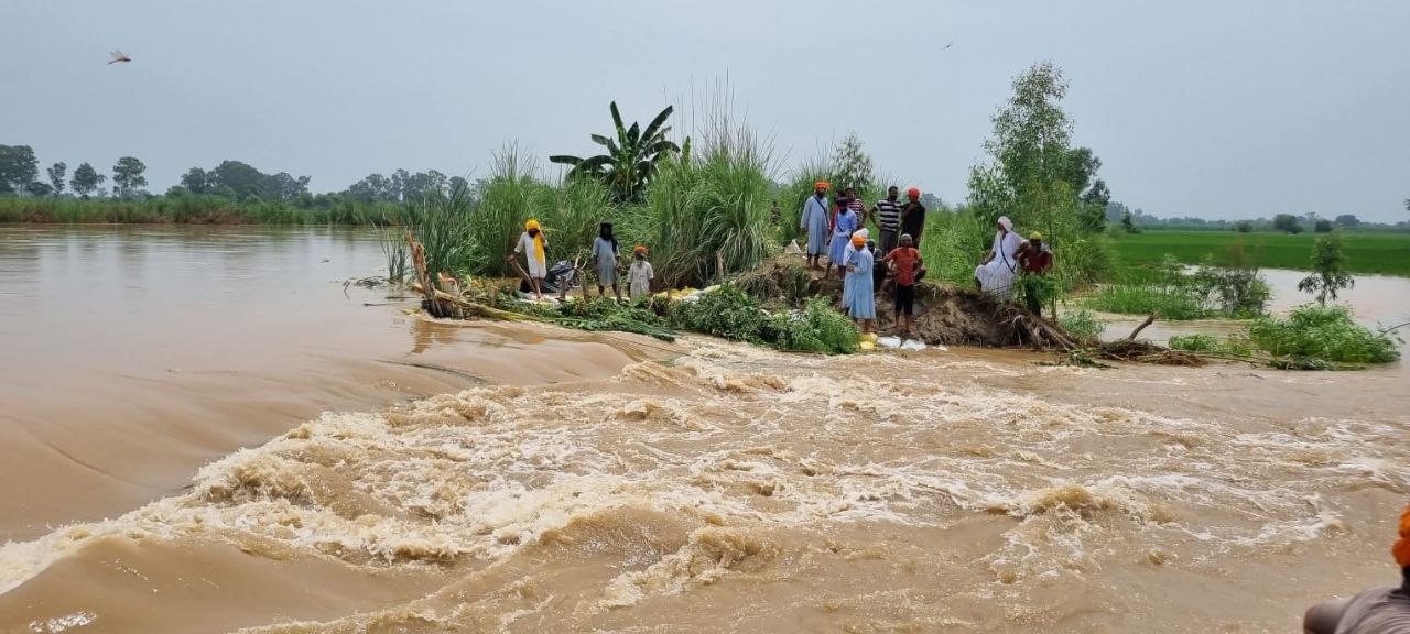Dams Near Danger Mark as Punjab Battles Severe Flooding