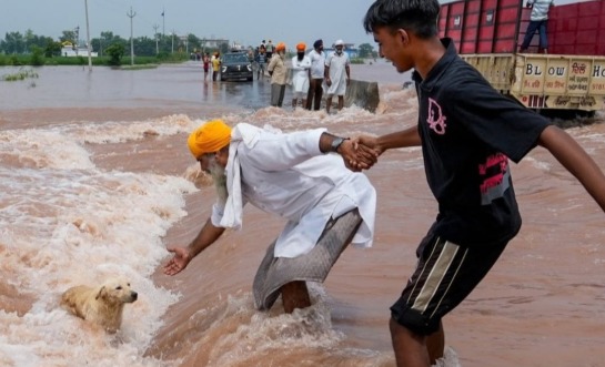Why is India Seeing Extreme Rainfall?