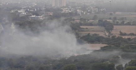 Punjab witnesses surge in farm fires: 512 stubble burning incidents reported till date