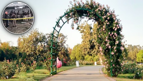 Woman Found Dead in Rose Garden Bathroom; Chandigarh Police Launch Murder Probe