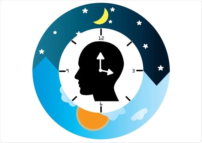 Circadian Rhythm: How does it impact the everyday life?