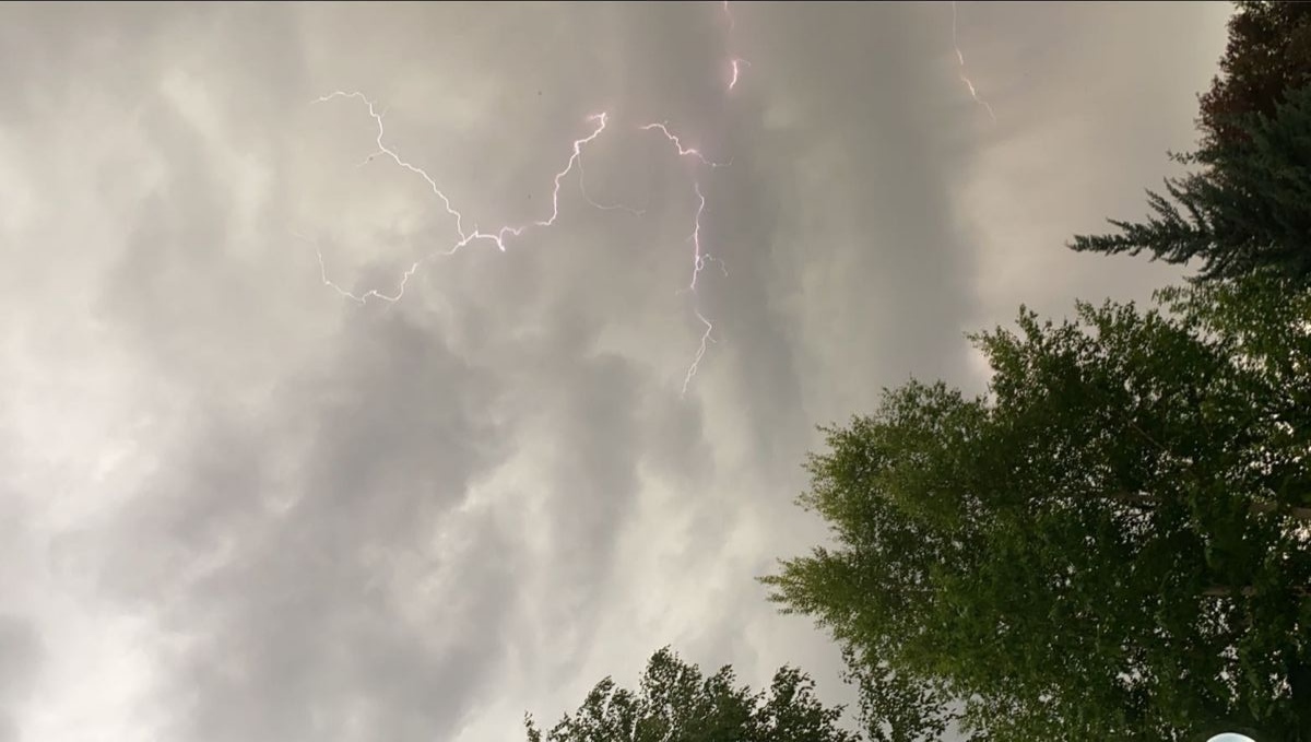 Hopes in Heart, Eyes on Weather Forecast: Youth Wait to Fly Kites on Basant Panchmi