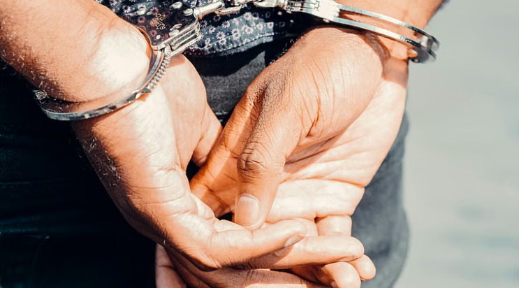 Haryana STF Arrests Four Sharpshooters Linked to Rohit Godara–Goldy Brar Gang